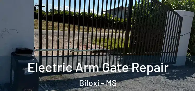 Electric Arm Gate Repair Biloxi - MS