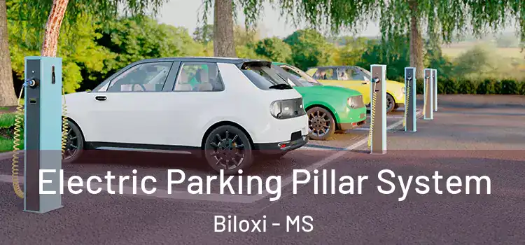 Electric Parking Pillar System Biloxi - MS