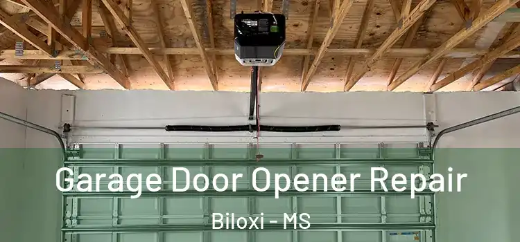  Garage Door Opener Repair Biloxi - MS
