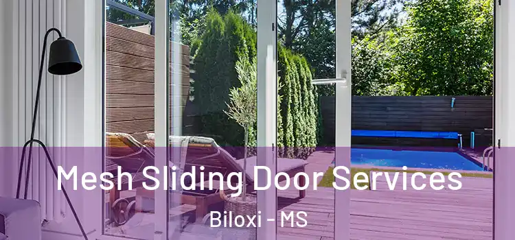  Mesh Sliding Door Services Biloxi - MS